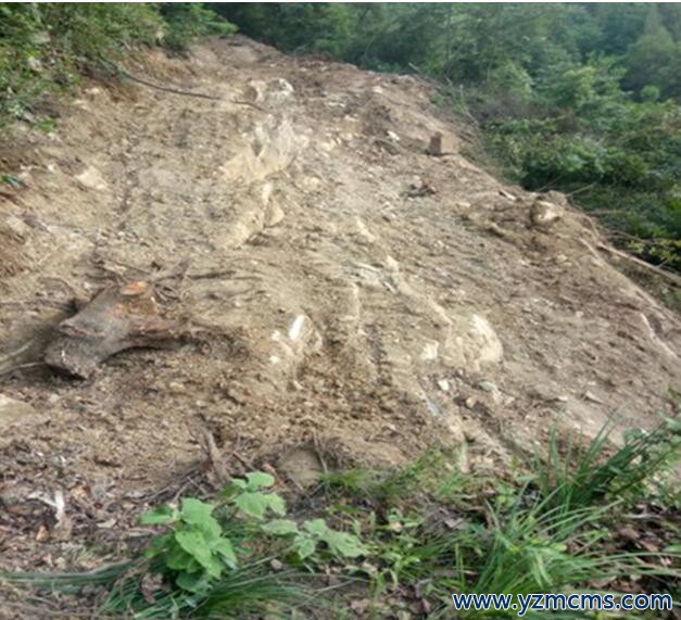 自己坚持修通到家的公路、守住承包土地长远生计饭碗